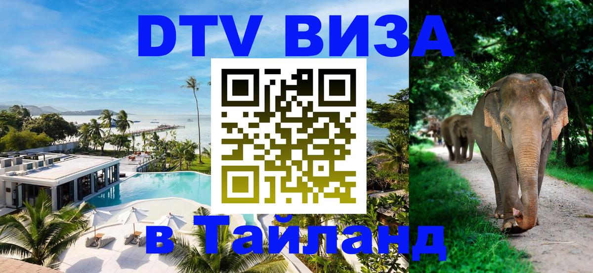 Сколько стоит DTV виза — актуальные цены, оформление даже без документов - 